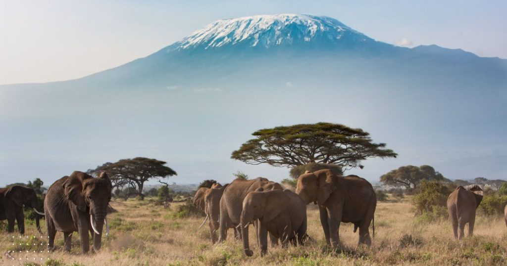 How Not To Quit When Things Are Getting Hard​ - Climbing Mt. Kilimanjaro